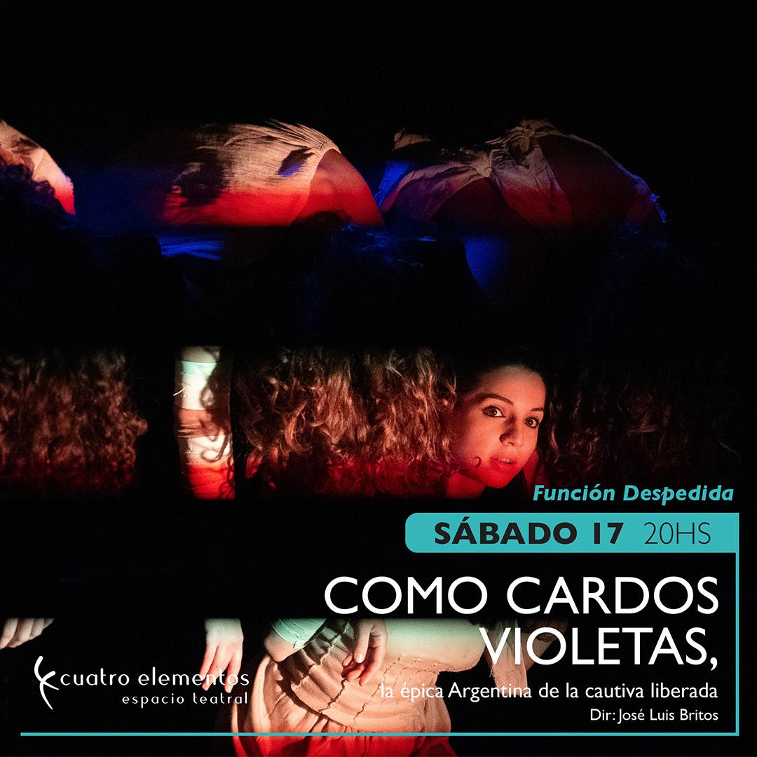 COMO CARDOS VIOLETAS, LA ÉPICA ARGENTINA DE LA CAUTIVA LIBERADA