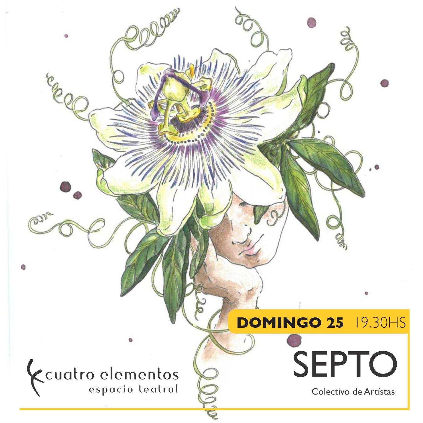 Septo - Colectivo de artistas 