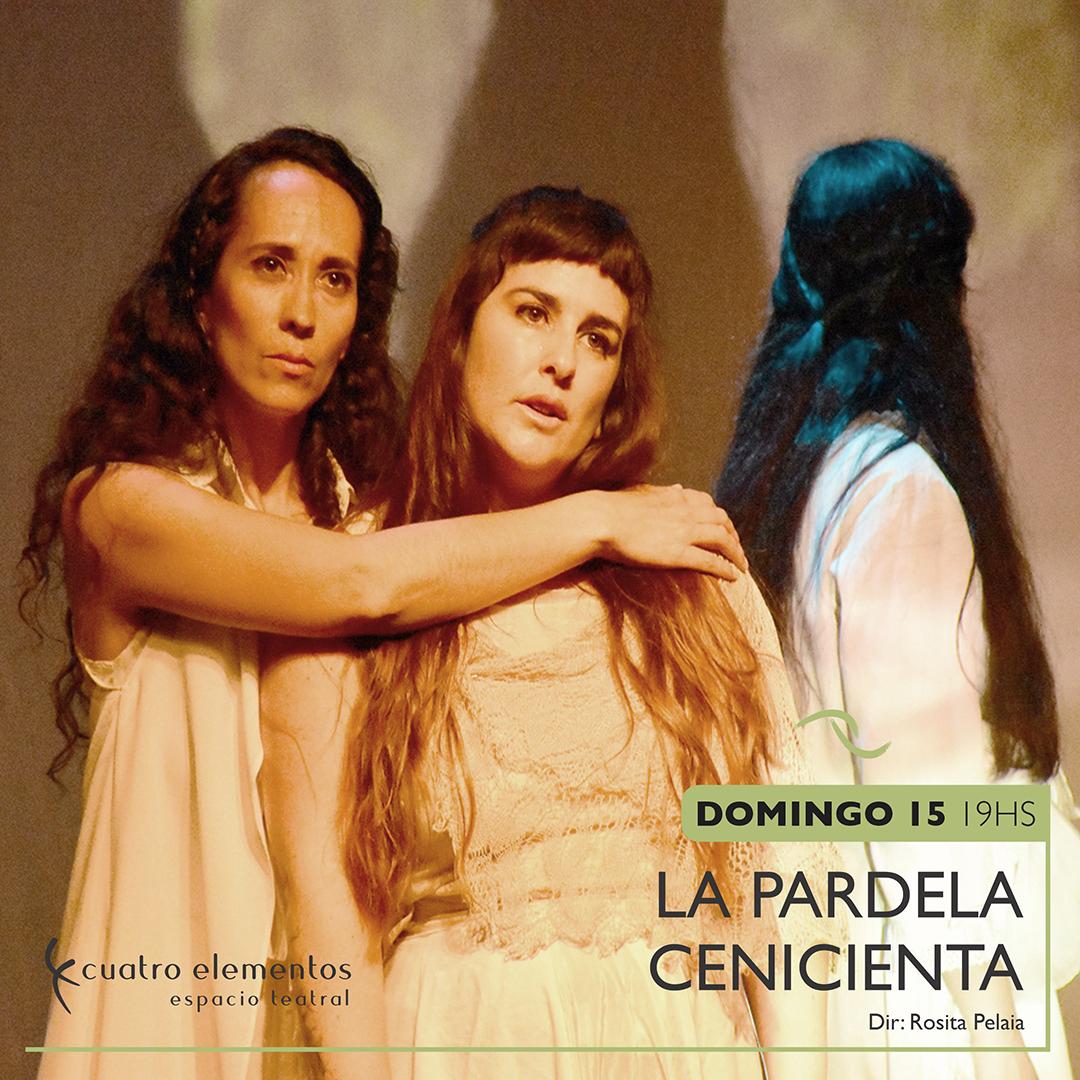 La pardela cenicienta 